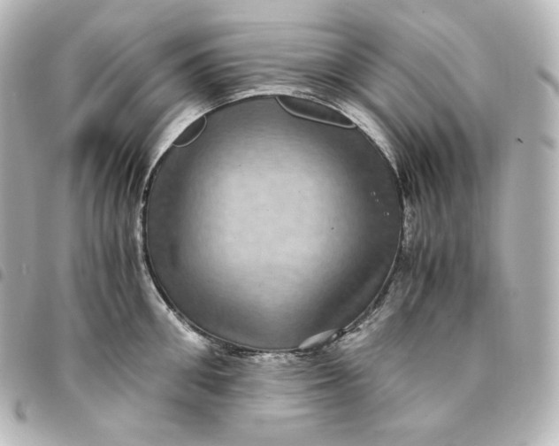 X0000095540906200712281541