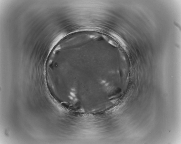 X0000095540907200712281541