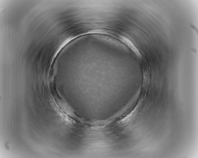 X0000095540908200712281541