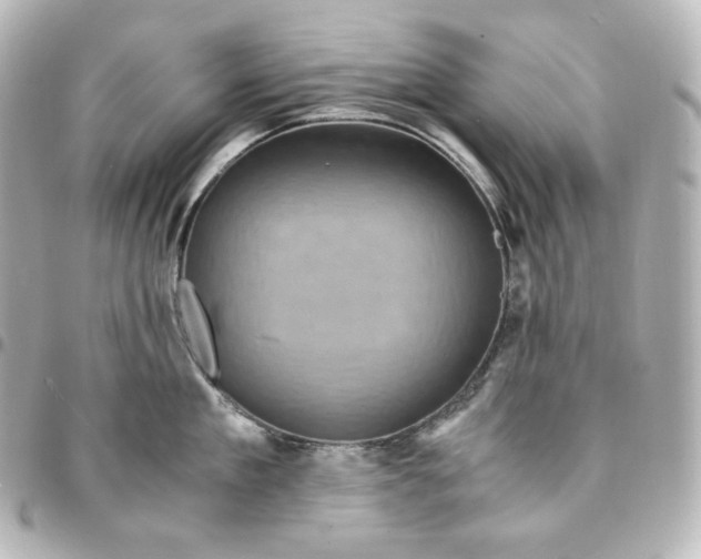 X0000095540909200712281541