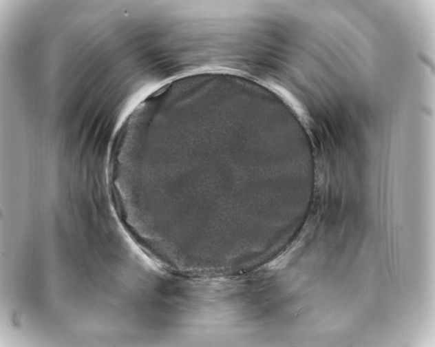 X0000095540910200712281541