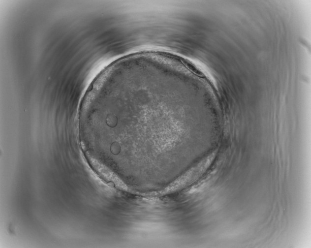 X0000095540911200712281541