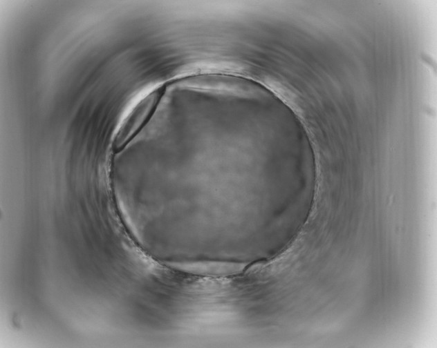 X0000095540912200712281541