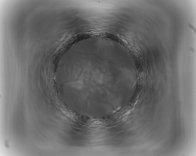 X0000095540913200712281540