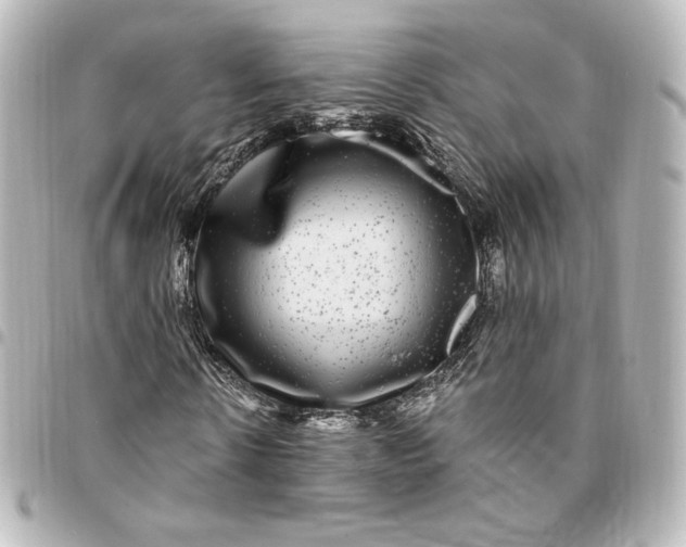 X0000095540914200712281540