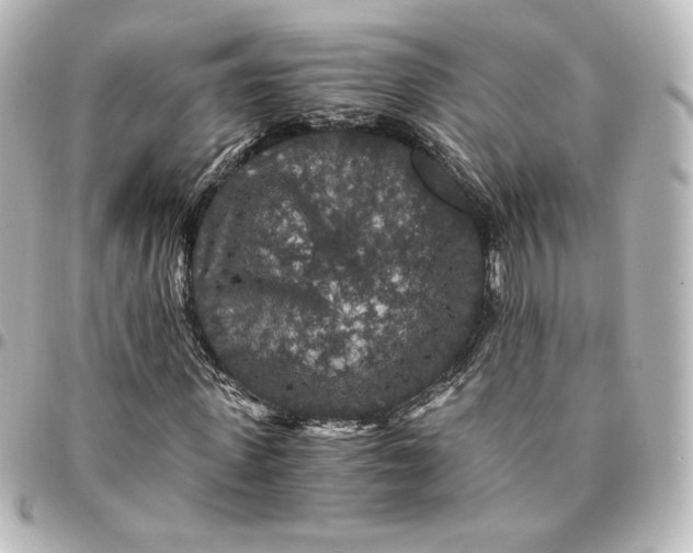 X0000095540915200712281540