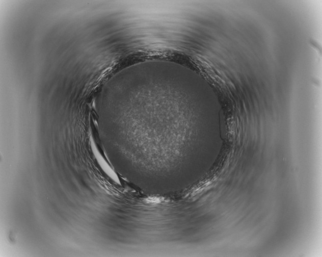 X0000095540916200712281540