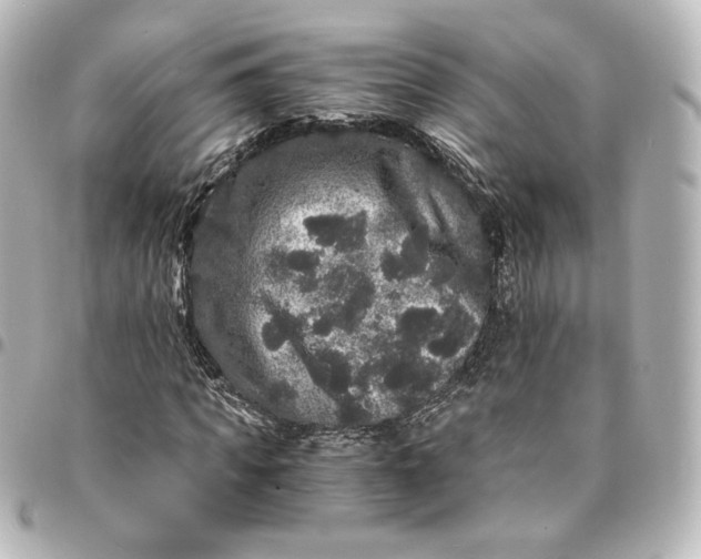 X0000095540917200712281540