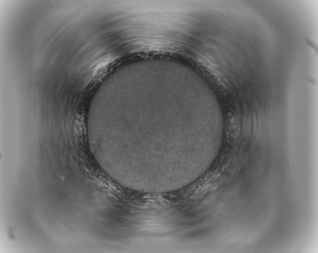 X0000095540918200712281540