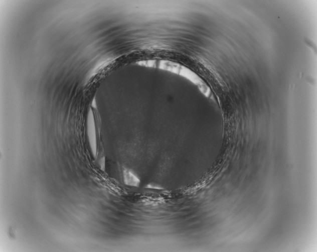 X0000095540919200712281540