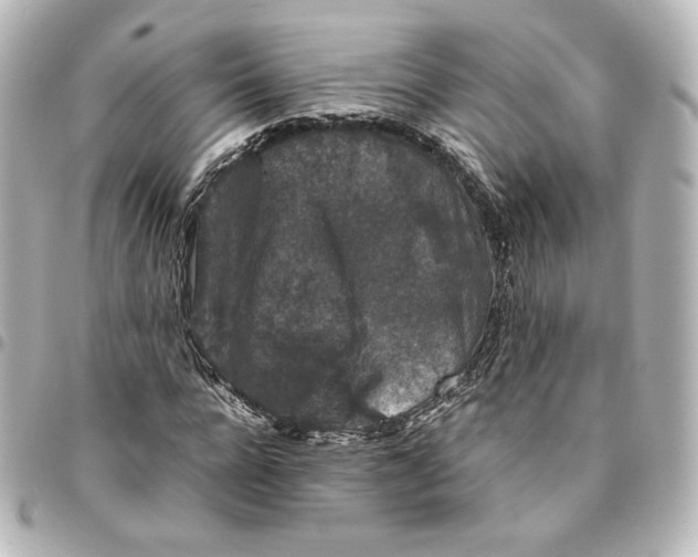 X0000095540920200712281540