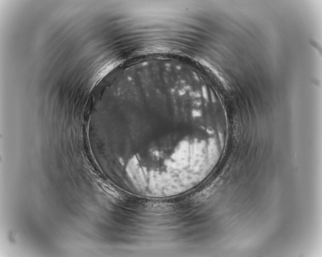 X0000095540921200712281540