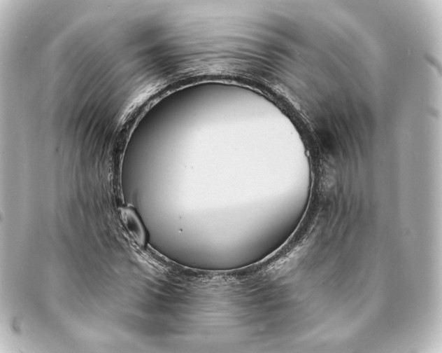 X0000095540922200712281540