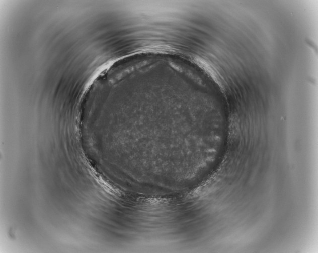 X0000095540923200712281541