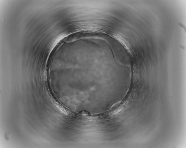 X0000095540924200712281541