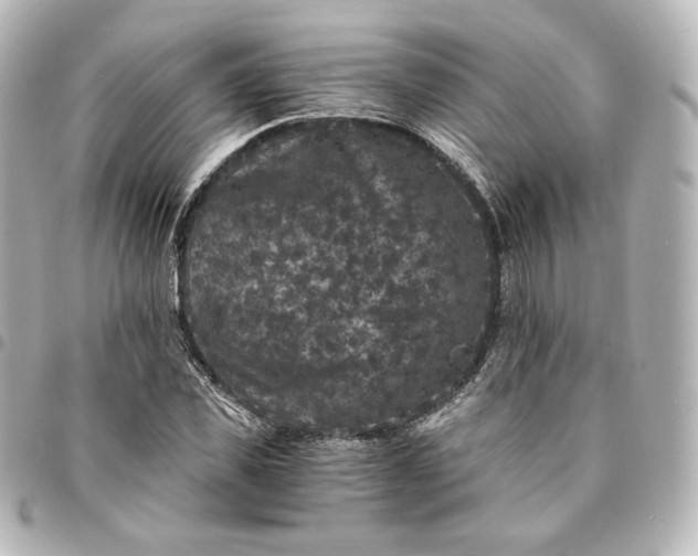 X0000095540925200712281541