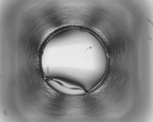 X0000095540926200712281541