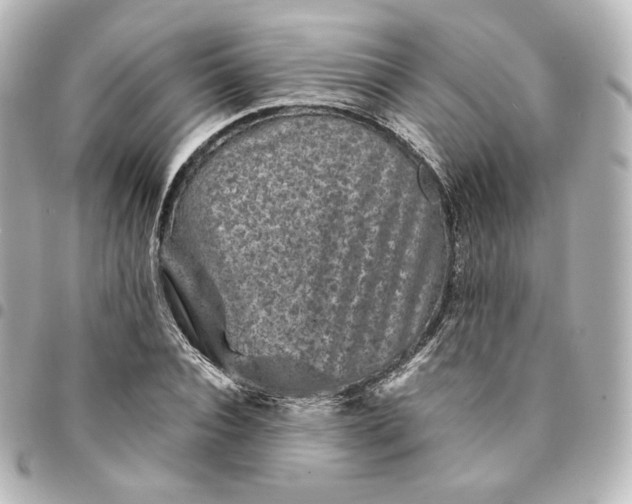 X0000095540928200712281541