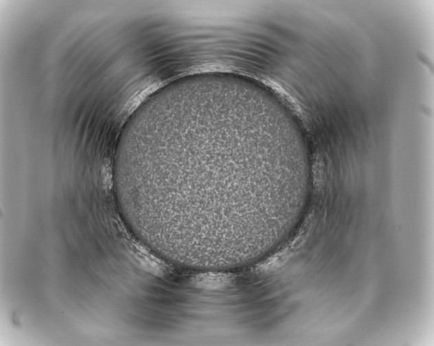 X0000095540929200712281541