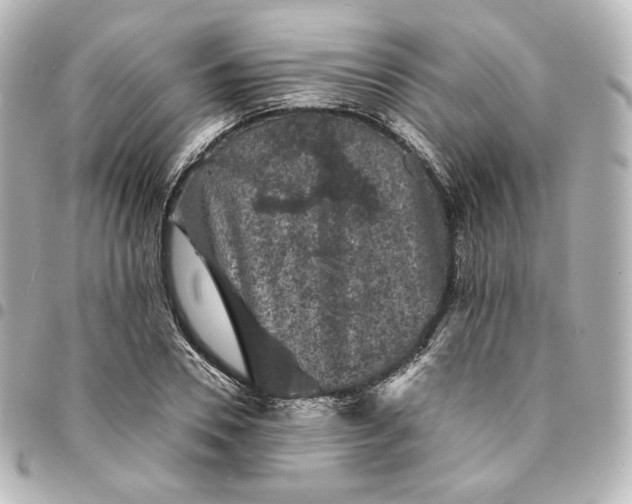 X0000095540930200712281541