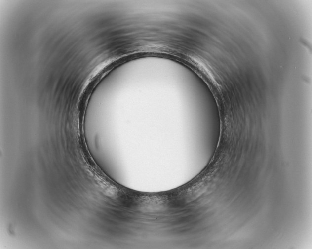 X0000095540931200712281541