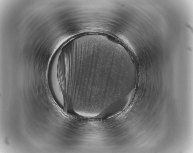 X0000095540932200712281541