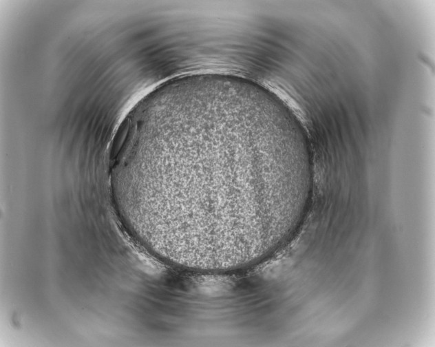 X0000095540933200712281541