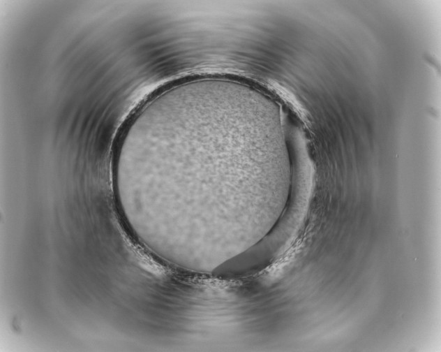 X0000095540934200712281541