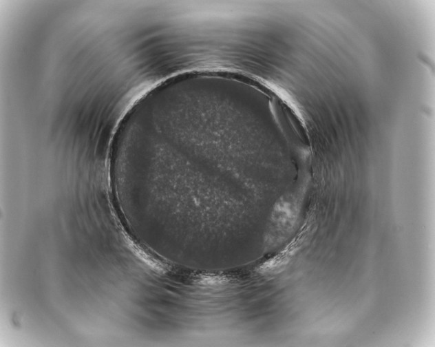 X0000095540935200712281541