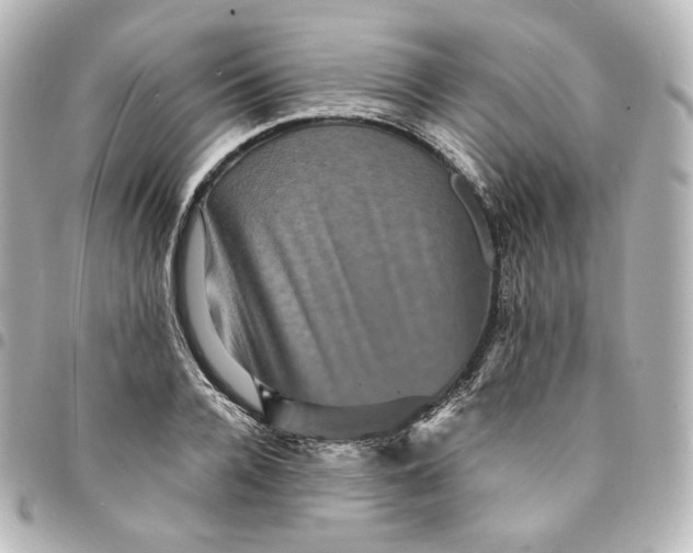 X0000095540936200712281541