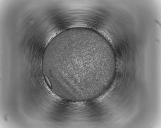 X0000095540937200712281541