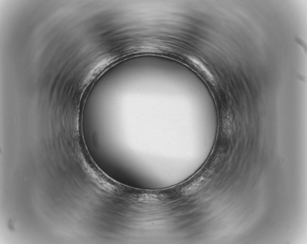 X0000095540938200712281541