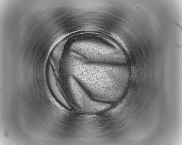 X0000095540939200712281541