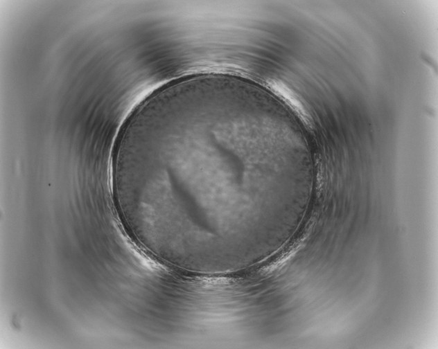 X0000095540940200712281541