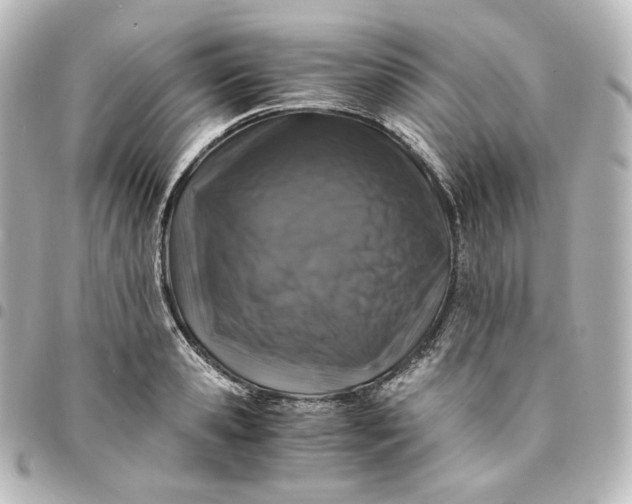 X0000095540941200712281541