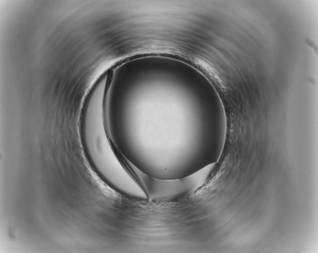 X0000095540942200712281541