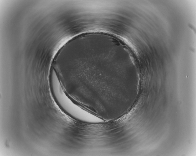 X0000095540943200712281541