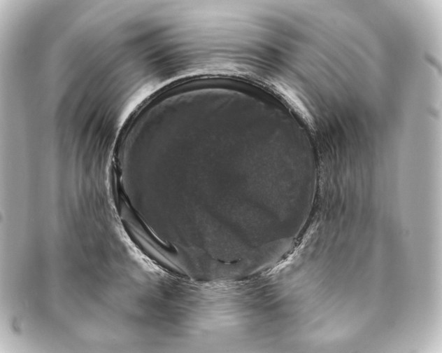 X0000095540944200712281541