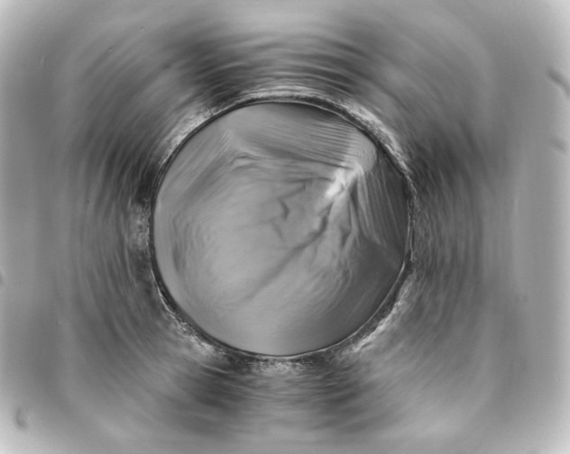 X0000095540945200712281541