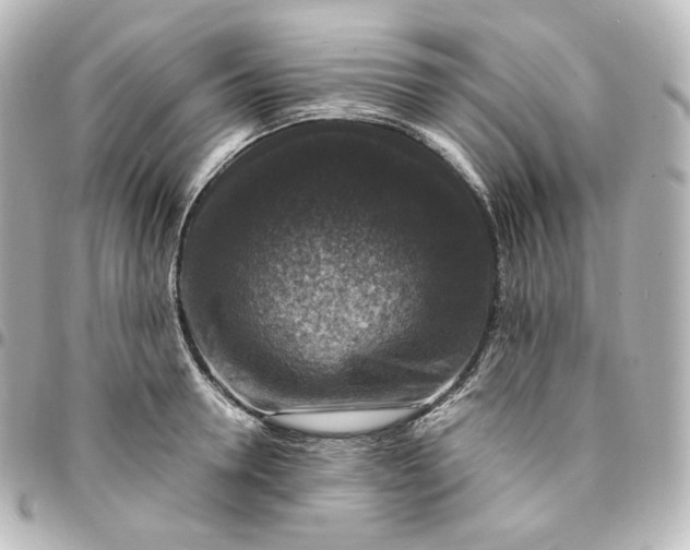 X0000095540946200712281541