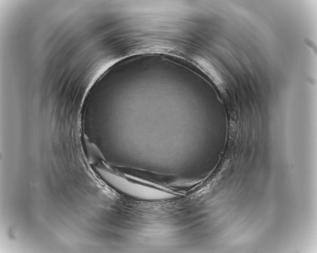 X0000095540948200712281541