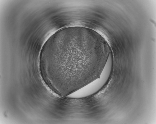 X0000095540949200712281541