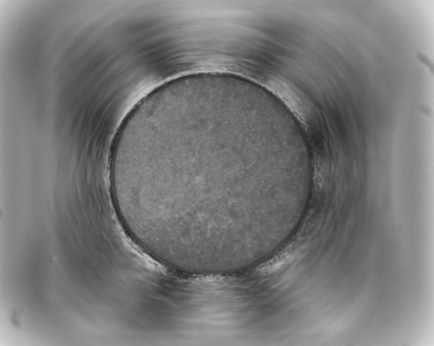 X0000095540950200712281541