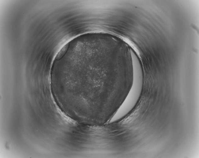 X0000095540951200712281541