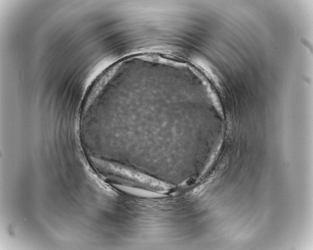 X0000095540952200712281541