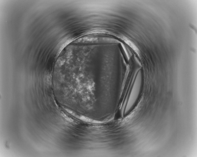 X0000095540953200712281541