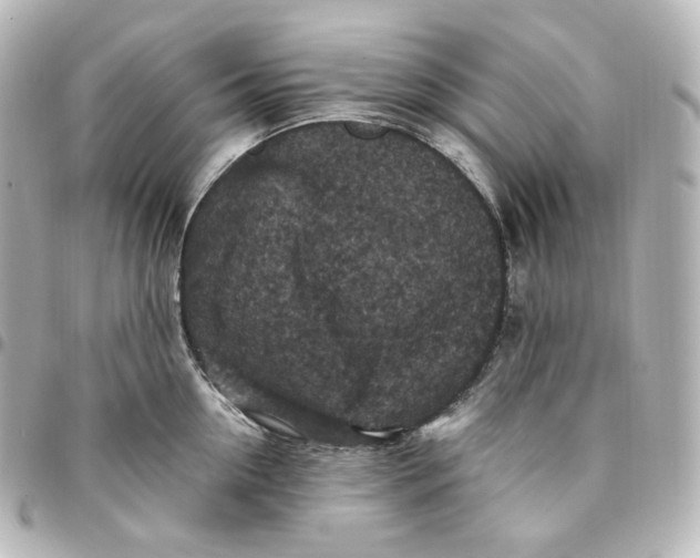 X0000095540954200712281541