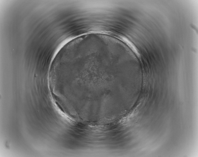 X0000095540955200712281541