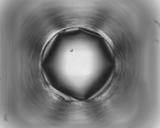 X0000095540956200712281541