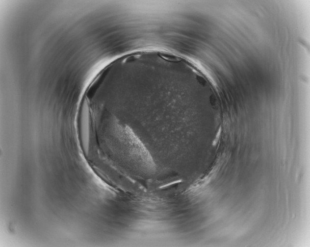 X0000095540959200712281541